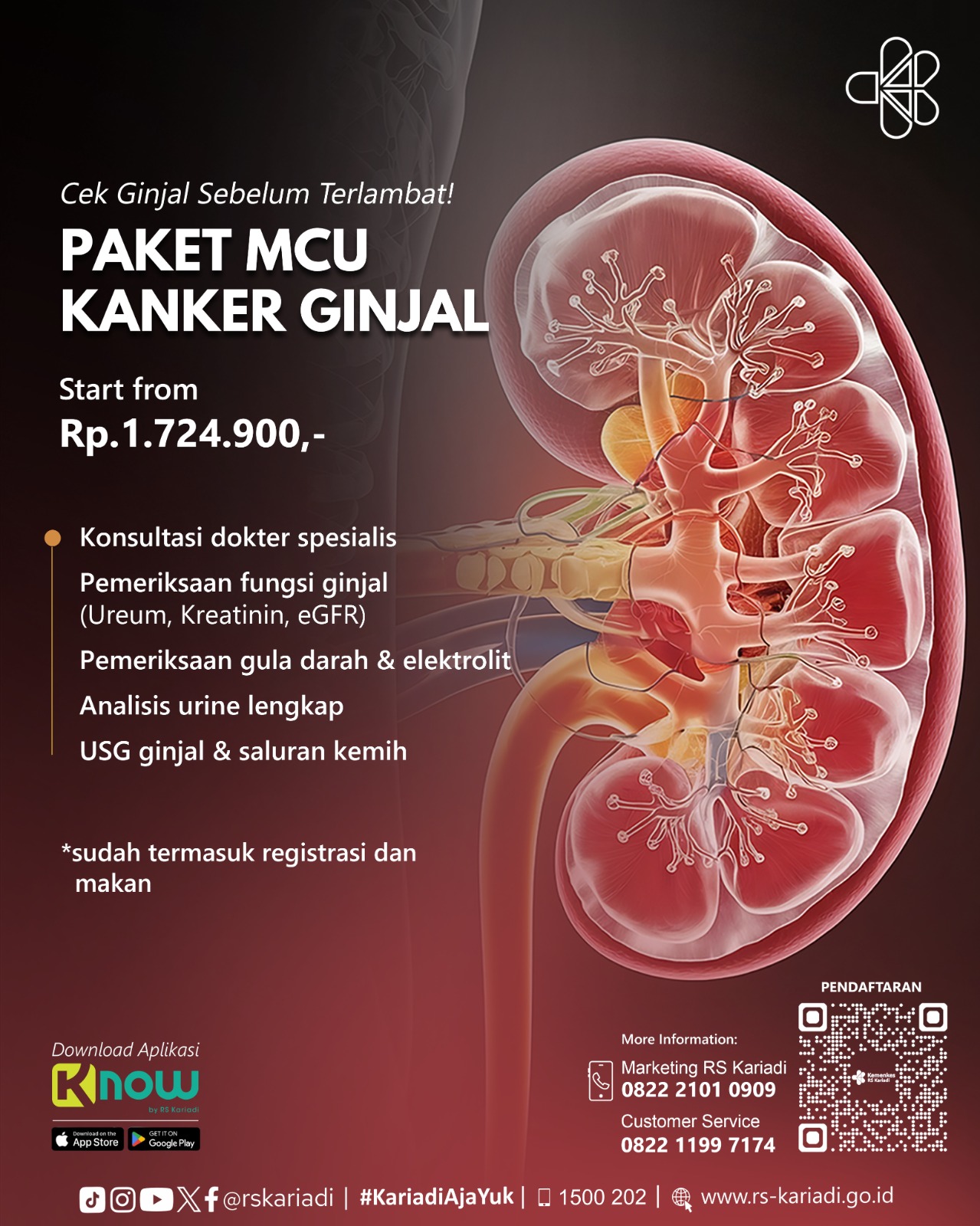 Gambar Konten Paket MCU Kanker Ginjal